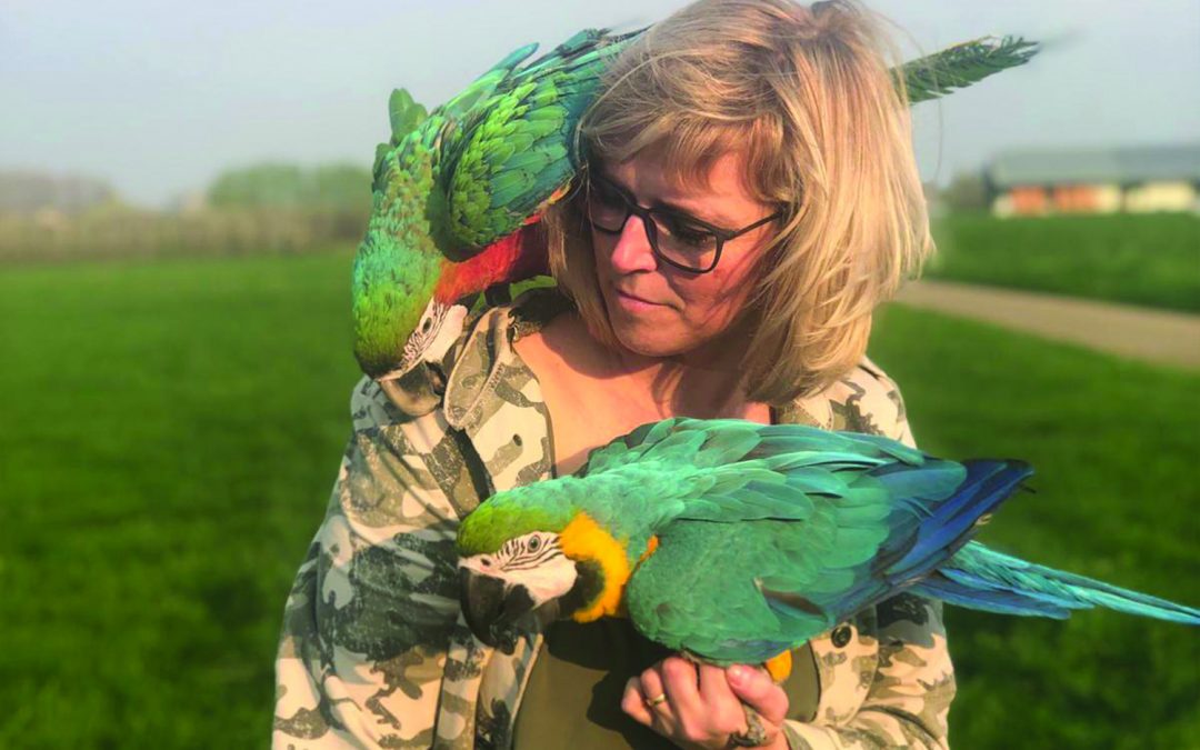 Wat is het werk van een papegaaien gedragstherapeut en wat houdt het in?