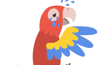 8 Tips voor papegaaien met gedragsproblemen